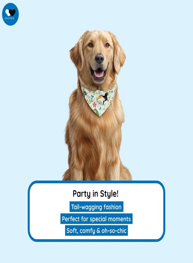 W Dog Bandana Collar Adjustable by W | This Beautiful Gorgeous Design Dog Collar Bandana Scarf is Perfect Styling Accessory for Dogs (M, Parrot) - Image 5